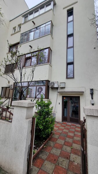 Dimitrie Cantemir, Tineretului