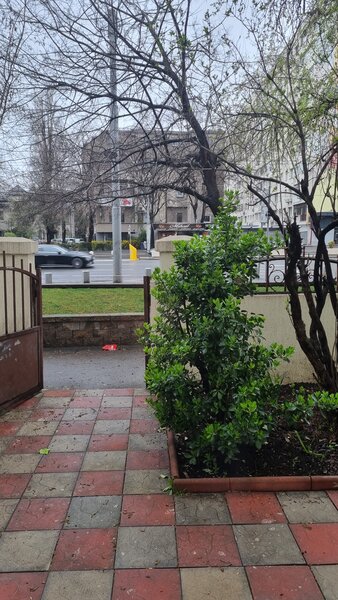 Dimitrie Cantemir, Tineretului