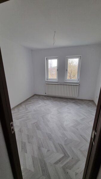 Dimitrie Cantemir, Tineretului