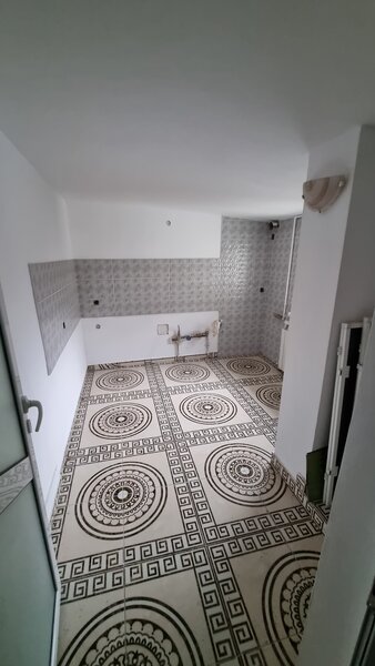 Dimitrie Cantemir, Tineretului